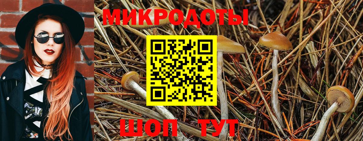 магазин продажи наркотиков  Галлюциногенные грибы Psilocybe  Вход с VPN  Нововоронеж 