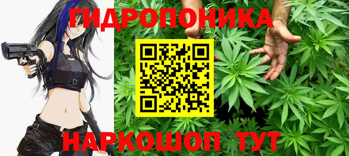Бошки марихуана план  Марихуана индика  Канабис LSD WEED  Бошки Шишки сатива  Нововоронеж  Вход с VPN 